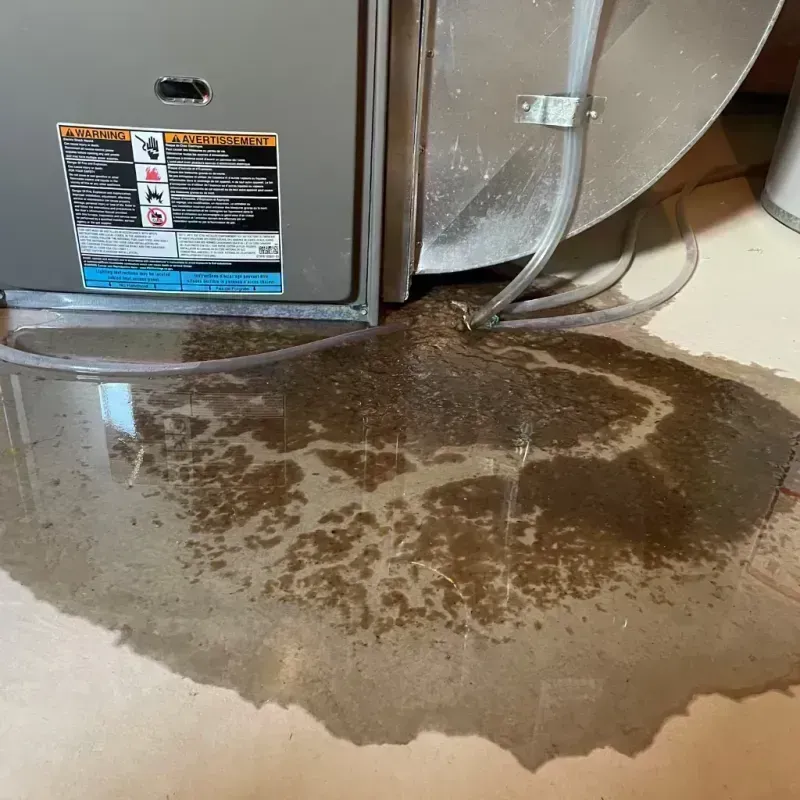 Appliance Leak Cleanup in Newport, OR